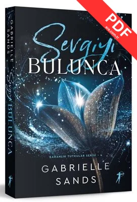 Sevgiyi Bulunca - Karanlık Tutkular Serisi 4 - Yazarından İmzalı kitap kapağı