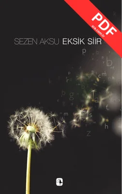 Sezen Aksu - Eksik Şiir - Şarkı Sözleri (1977-2006) kitap kapağı