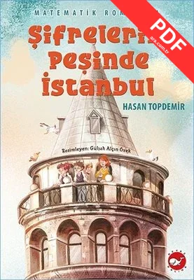 Şifrelerin Peşinde İstanbul - Matematik Romanı 1 kitap kapağı