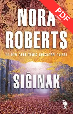 Sığınak kitap kapağı
