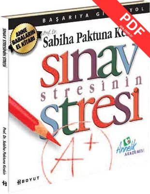 Sınav Stresinin Stresi kitap kapağı