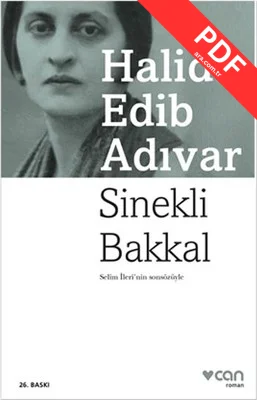 Sinekli Bakkal kitap kapağı
