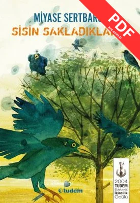 Sisin Sakladıkları 1 kitap kapağı