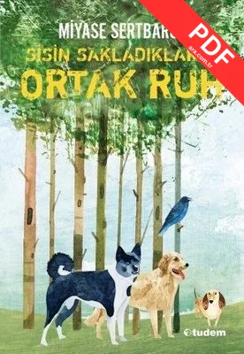 Sisin Sakladıkları - 2 Ortak Ruh kitap kapağı