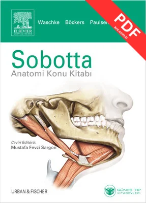 Sobotta Anatomi Konu Kitabı kitap kapağı