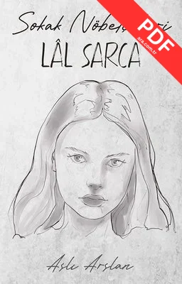 Sokak Nöbetçileri - Lal Sarca kitap kapağı
