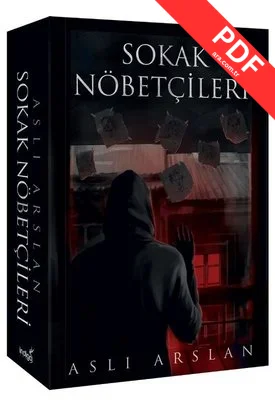 Sokak Nöbetçileri kitap kapağı