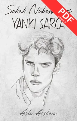 Sokak Nöbetçileri - Yankı Sarca kitap kapağı