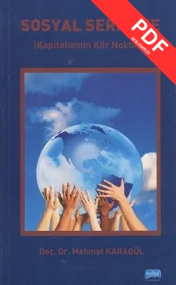 Sosyal Sermaye kitap kapağı