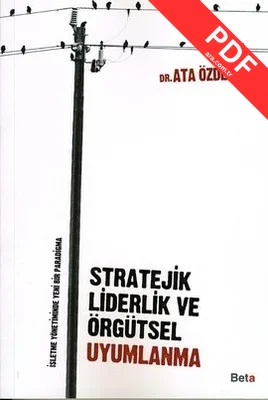 Stratejik Liderlik ve Örgütsel Uyumlanma kitap kapağı