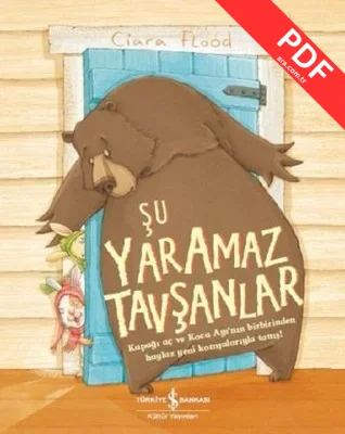 Şu Yaramaz Tavşanlar kitap kapağı