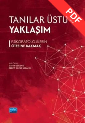 Tanılar Üstü Yaklaşım - Psikopatolojilerin Ötesine Bakmak kitap kapağı