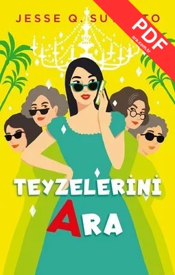 Teyzelerini Ara kitap kapağı