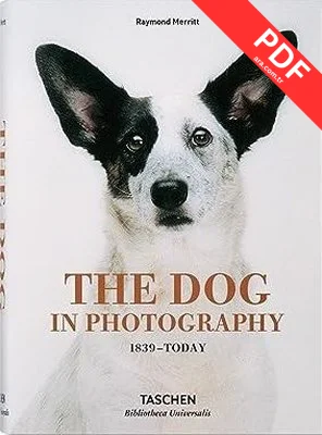 The Dog in Photography 1839-Today