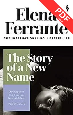 The Story of a New Name (Neapolitan Quartet 2) kitap kapağı