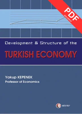 Turkish Economy kitap kapağı