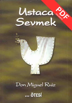 Ustaca Sevmek kitap kapağı