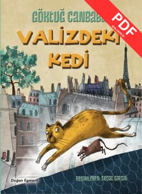 Valizdeki Kedi kitap kapağı