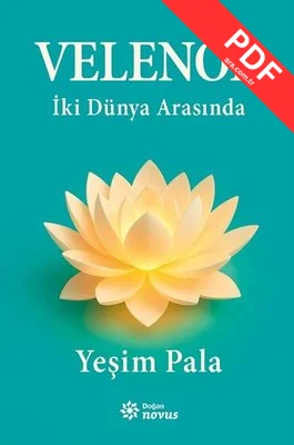 Velenor - İki Dünya Arasında kitap kapağı