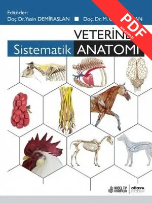 Veteriner Sistematik Anatomi kitap kapağı