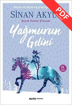 Yağmurun Gelini kitap kapağı