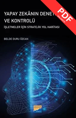 Yapay Zekanın Denetimi ve Kontrolü - İşletmeler İçin Stratejik Yol Haritası kitap kapağı