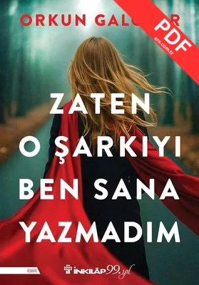 Zaten O Şarkıyı Ben Sana Yazmadım kitap kapağı